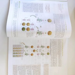 Biología y Geología 4 ESO