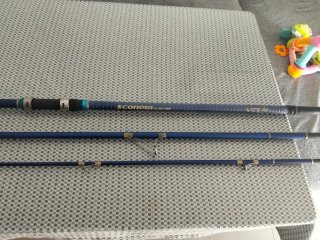 Equipo de pesca surfcasting