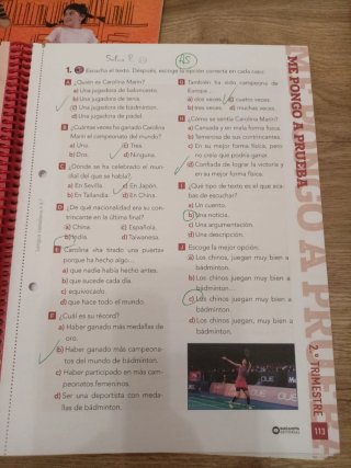 Lengua castellana, 4o Educación Primaria Progra...