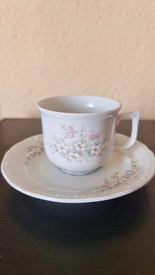 Juego de café Santa Clara vintage  13 piezas