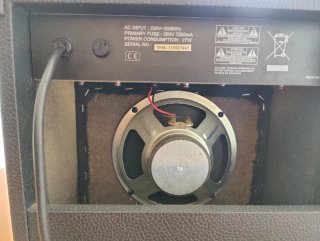 Amplificador de guitarra 10W