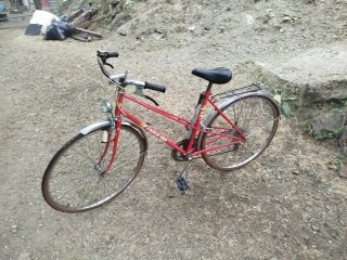 Bicicleta BH Gacela Roja