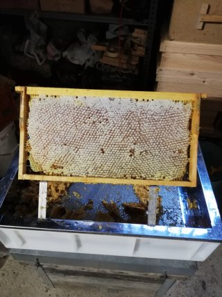 Desoperculadora para cuadros de miel