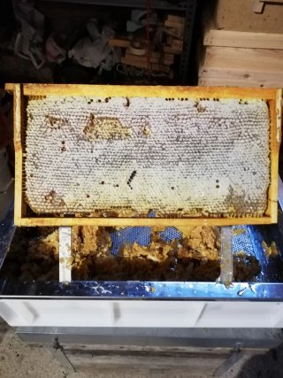 Desoperculadora para cuadros de miel