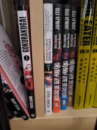 Manga Indigno de ser humano