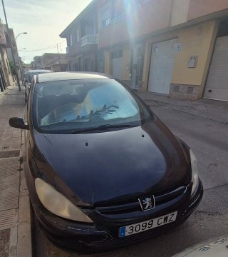 Peugeot 307 2004
