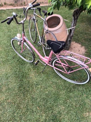 2 Bicicletas: Carreras y Paseo