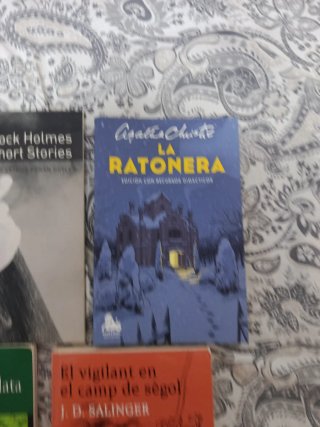 Pack de libros de lectura escolar y clásicos