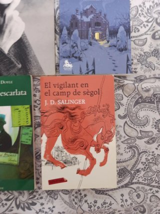 Pack de libros de lectura escolar y clásicos