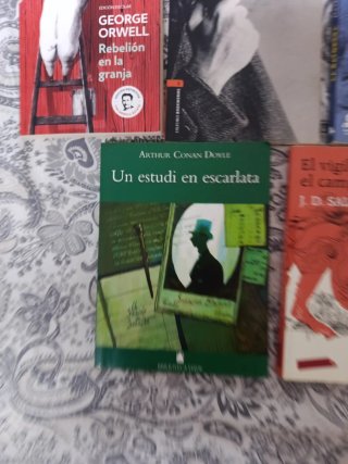 Pack de libros de lectura escolar y clásicos