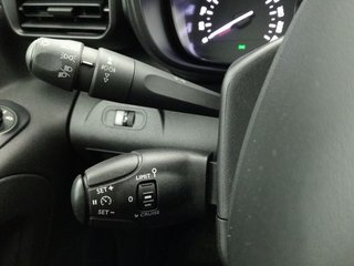 Citroën Berlingo BlueHdi 74Kw (100cv)