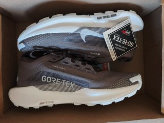 Nike Pegasus Trail 5 GTX Marrón/Gris