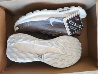 Nike Pegasus Trail 5 GTX Marrón/Gris