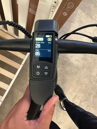 Bicicleta Fiido C21 Eléctrica Negra