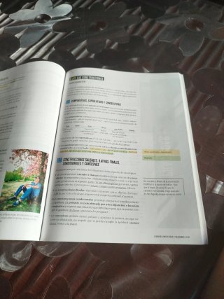 Lengua castellana y literatura 4 Secundaria