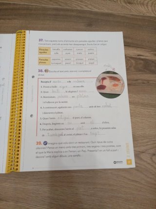 Llengua catalana, 3r Educació Primària Programa...