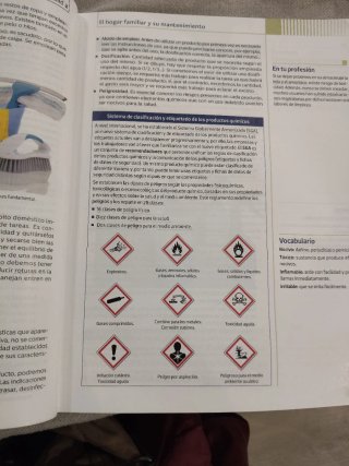 Apoyo domiciliario