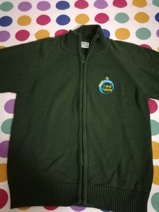 Jersey Colegio Karol Wojtyła Verde