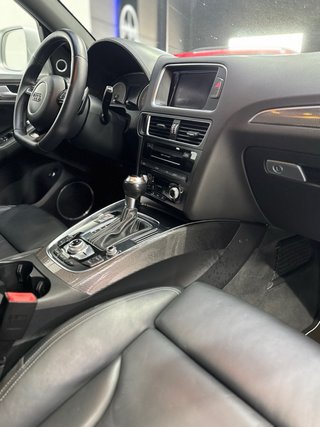 Audi SQ5 2015