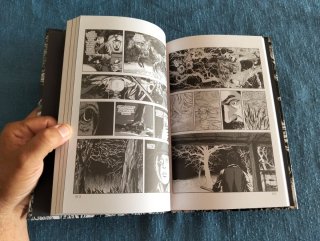 El color que cayó del cielo. Lovecraft/Gou Tanabe