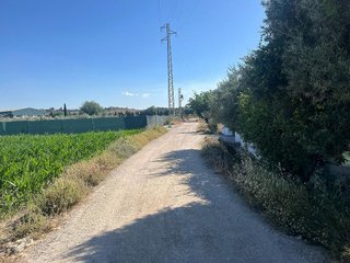 Terreno en venta en Cúllar Vega