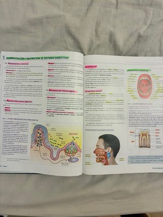 Anatomía aplicada
