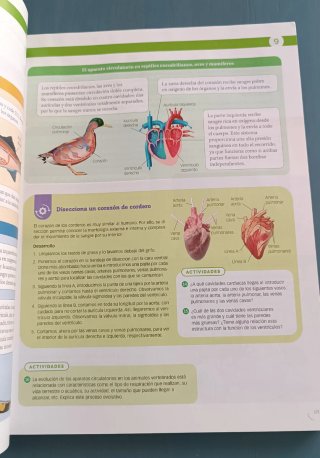 Biología, Geología y Ciencias Ambientales 1 Bac...