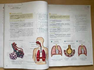 Libros 6º EP Anaya Operación Mundo IMPECABLES