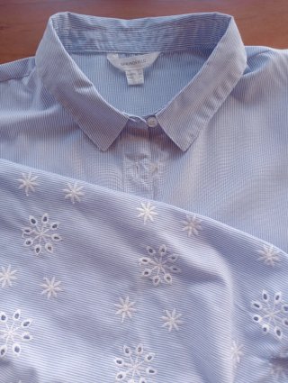 Camisa azul con mangas  bordadas y caladas