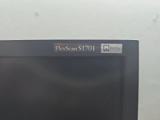 Monitor EIZO FlexScan S1701 Negro