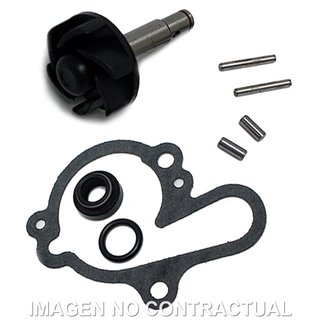 Kit Reparación Bomba Agua AM6
