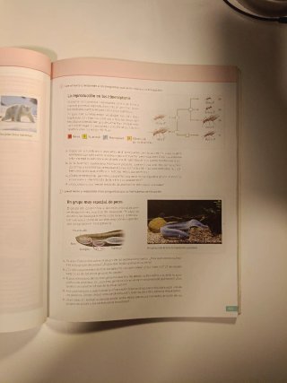 Biología, Geología y Ciencias Ambientales. 1 Ba...