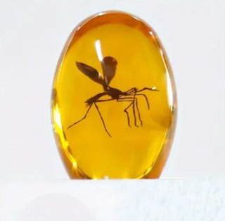 Ámbar Jurassic Park con Mosquito Réplica 3D