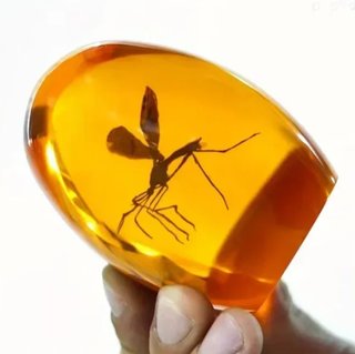 Ámbar Jurassic Park con Mosquito Réplica 3D