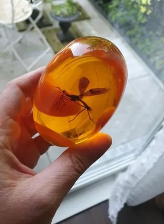 Ámbar Jurassic Park con Mosquito Réplica 3D