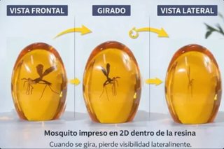 Ámbar Jurassic Park con Mosquito Réplica 3D