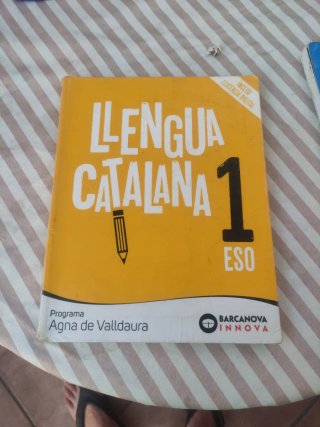 Llengua catalana, 1 ESO