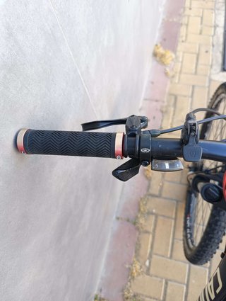 Bicicleta Montaña 29