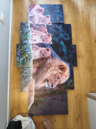 Cuadro de leones 5 piezas