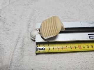 Carril Mistral Raceboard Windsurf