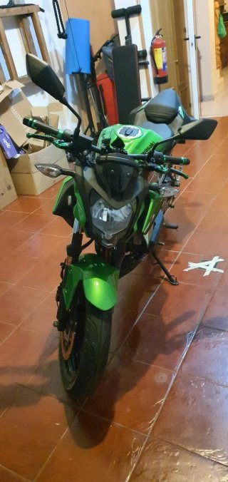Kawasaki Z125 Naked Verde/Negra
