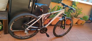Bicicleta 29