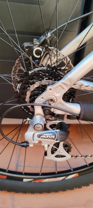 Bicicleta 29