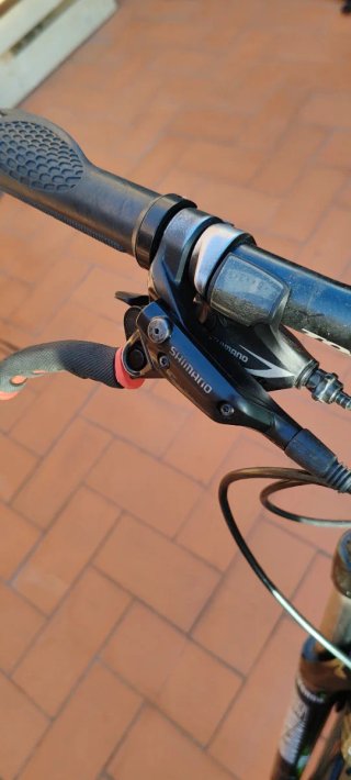Bicicleta 29