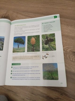 Ciencias de la naturaleza, 4 Primaria Saber Hac...