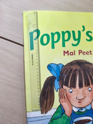 maxi libros de ingles