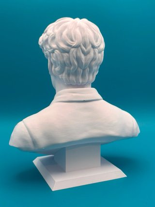 Busto Jannik Sinner 3D 25cm Plastica