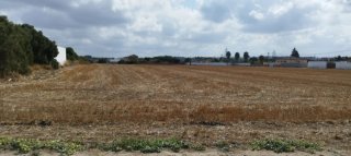 Parcelas segregadas Chiclana