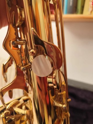 Saxofón Tenor XP con funda