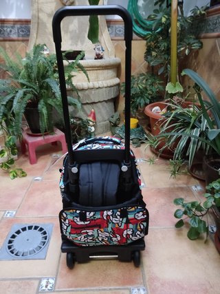 Mochila con carro El Niño